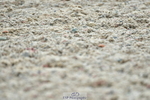 230708A-145155-03549