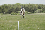 BVHT 140517  NXC -190