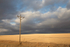 11 Storm over field ND