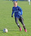 Ibis Under 13's portfolio