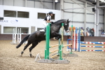 SBM_003184