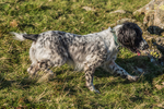 Dunnerdale-1065