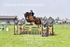 BPP_7365