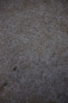 SBM_009252