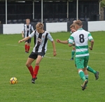 DSC03229