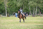 WJ6_9903