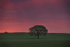 Amazing Dawn In June 2014