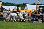 SBM_07768