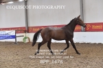 BPP_1478