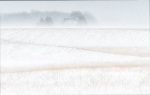 SHELTER - NORFOLK COUNTY
