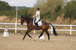 SBM_009679