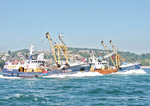 060617 FD100 LT535 BRIXHAM TRAWLER RACE IMG_9529