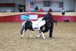 SBM_17335