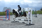 Show Jumping portfolio