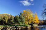 Fitz Park