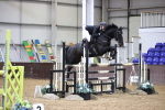 Class 5 - Senior Foxhunter - 1.20m Open portfolio