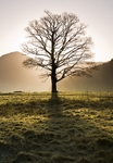 Sharing the light - Lake District