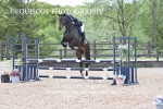 BPP_5464