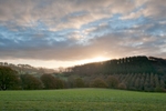 Springfield Coppice sunrise