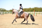 SBM_002697
