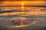 z3506 Sunset, Bembridge Beach
