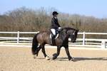3E7A2648