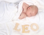 Leo 42