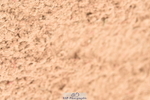 230507A-133914-08077