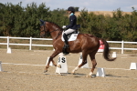 SBM_022633