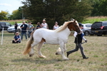 WJ6_6578