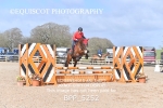 BPP_5252