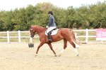 SBM_012114