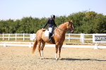 SBM_006572