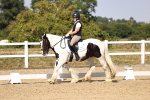 SBM_006549