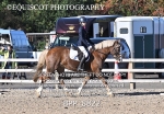 BPP_8822