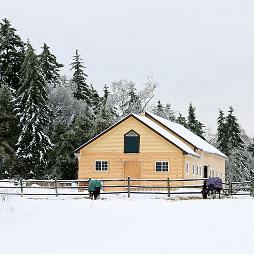 A horse stable surrounded by winter splendor in Kings County, New Brunswick,