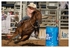Rodeo Portfolio - Barrel Racing 03
