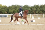 SBM_009448