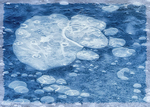 ICE IMPRESSION - PORT RYERSE