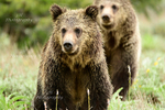 Double Vision_9132
