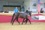 SBM_16591