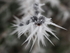 P11806590511