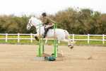 SBM_005537
