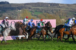 130326-Race 6-Willewonga-3181
