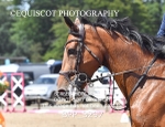 BPP_3297