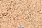 230810A-095452-00163