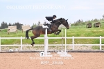 BPP_2636