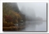Milton Basin Mist Loch Ard