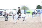 SBM_17231