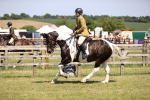 SBM_17865